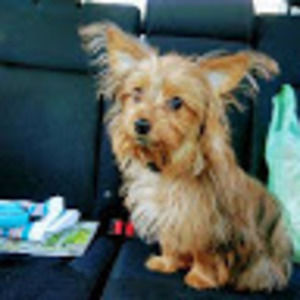 Meet your Posher, Mikhail